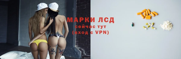 мяу мяу мука Белокуриха