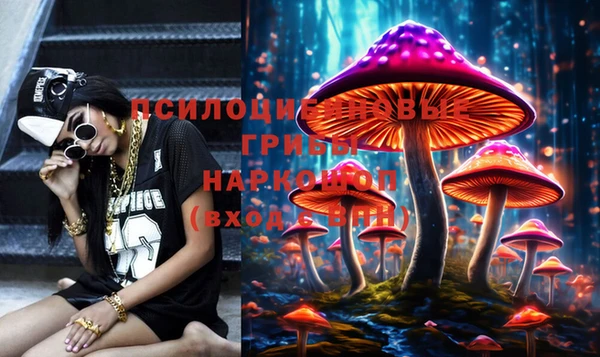 мяу мяу мука Белокуриха