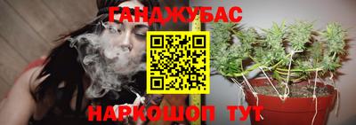 ешки Владимир