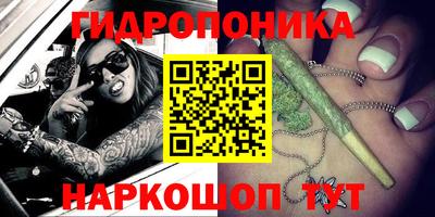твердый Владивосток